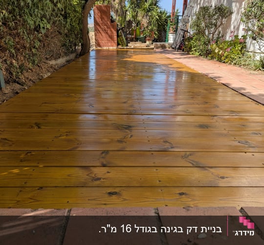 שביל עץ בגינה עם עצים וצמחים מסביב